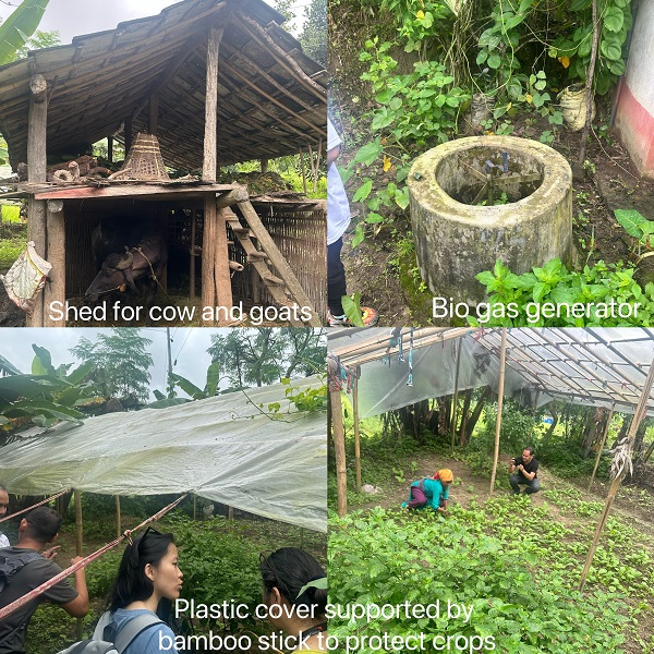 Livelihood support in Nepal Sindhuli East