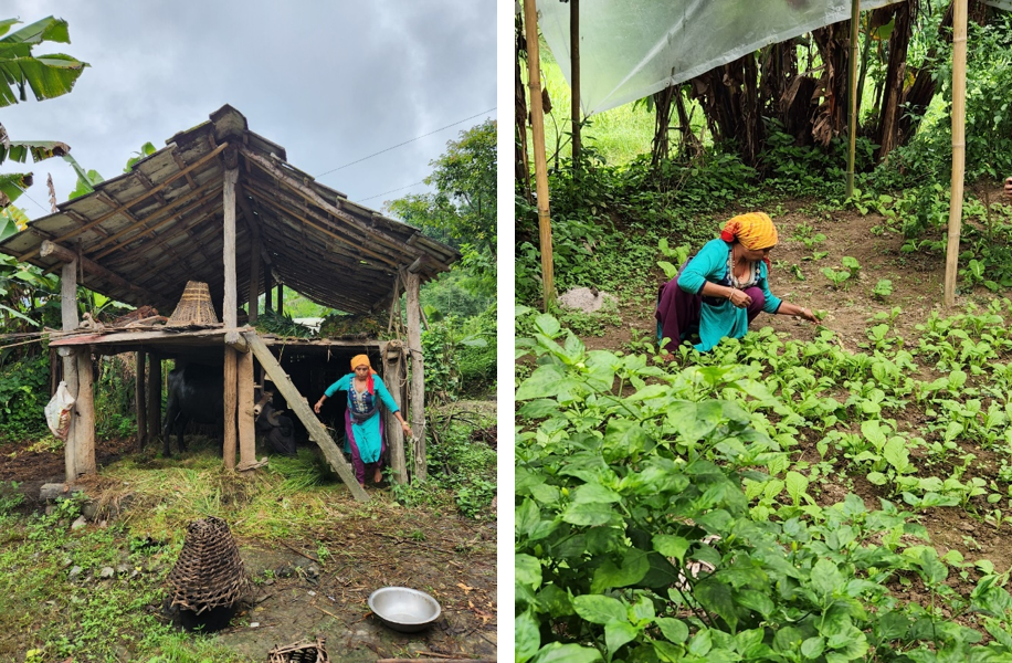 Livelihood support to Most Vulnerable Families