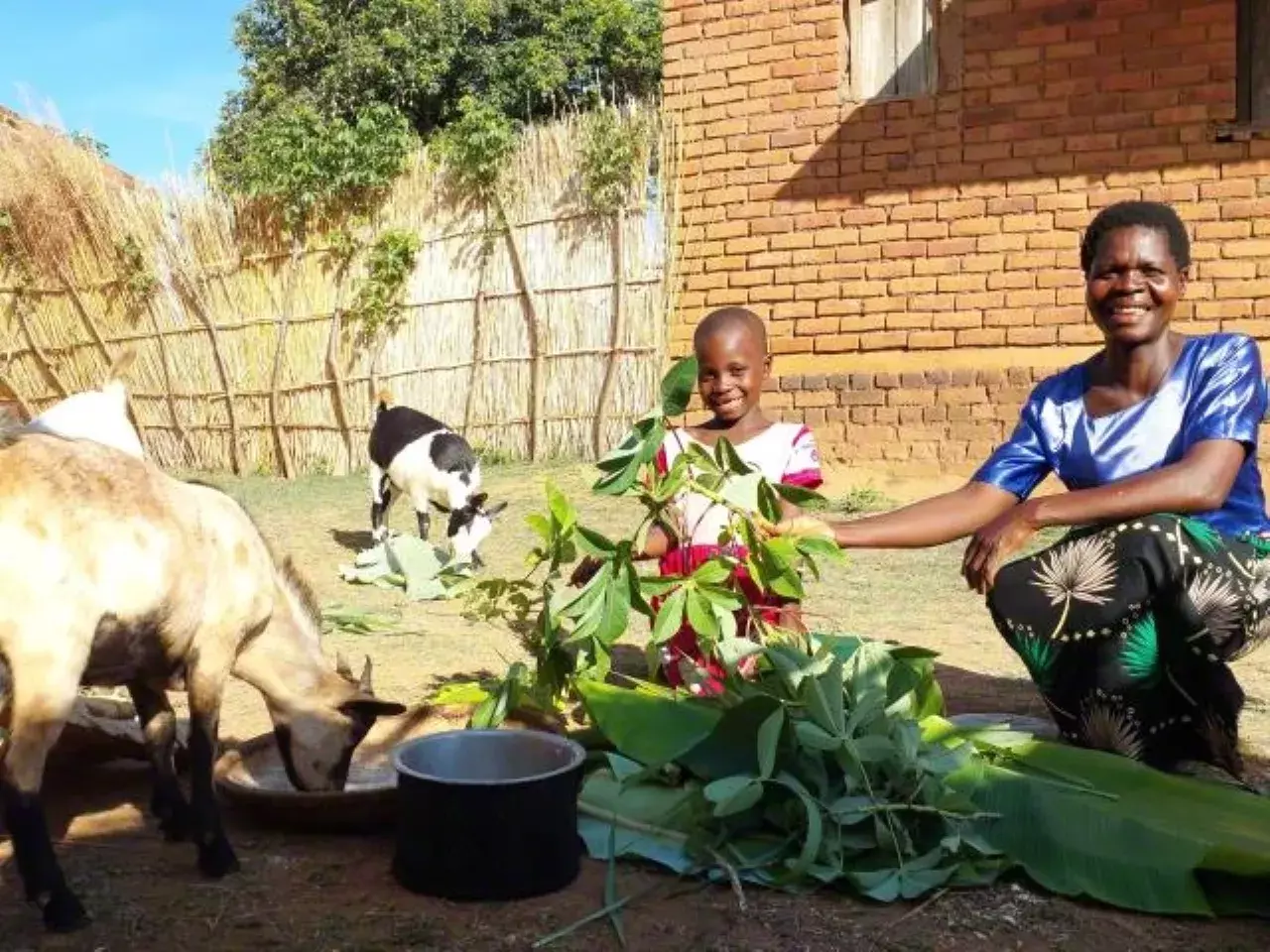 mpalo-voices-of-hope