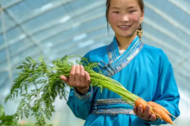 Economic Livelihood & Food Security