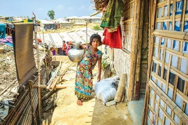 rohingya
