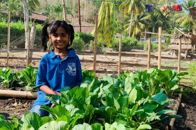 child in a vegetable garden in ende indonesia