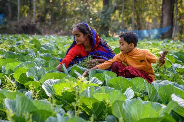 Strengthen Income and Food Security