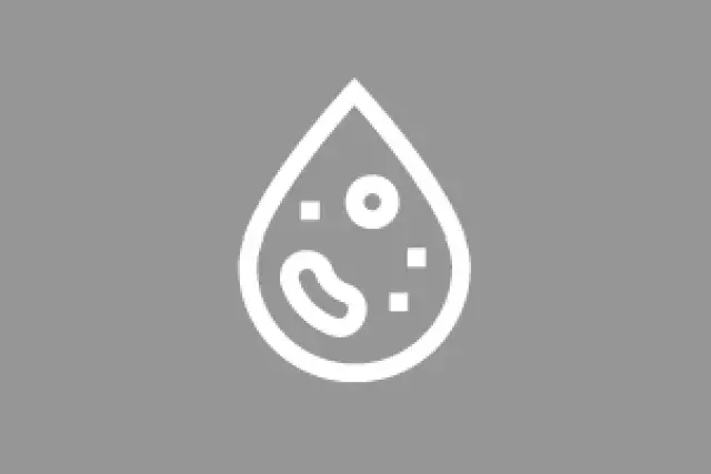 Water-borne Diseases