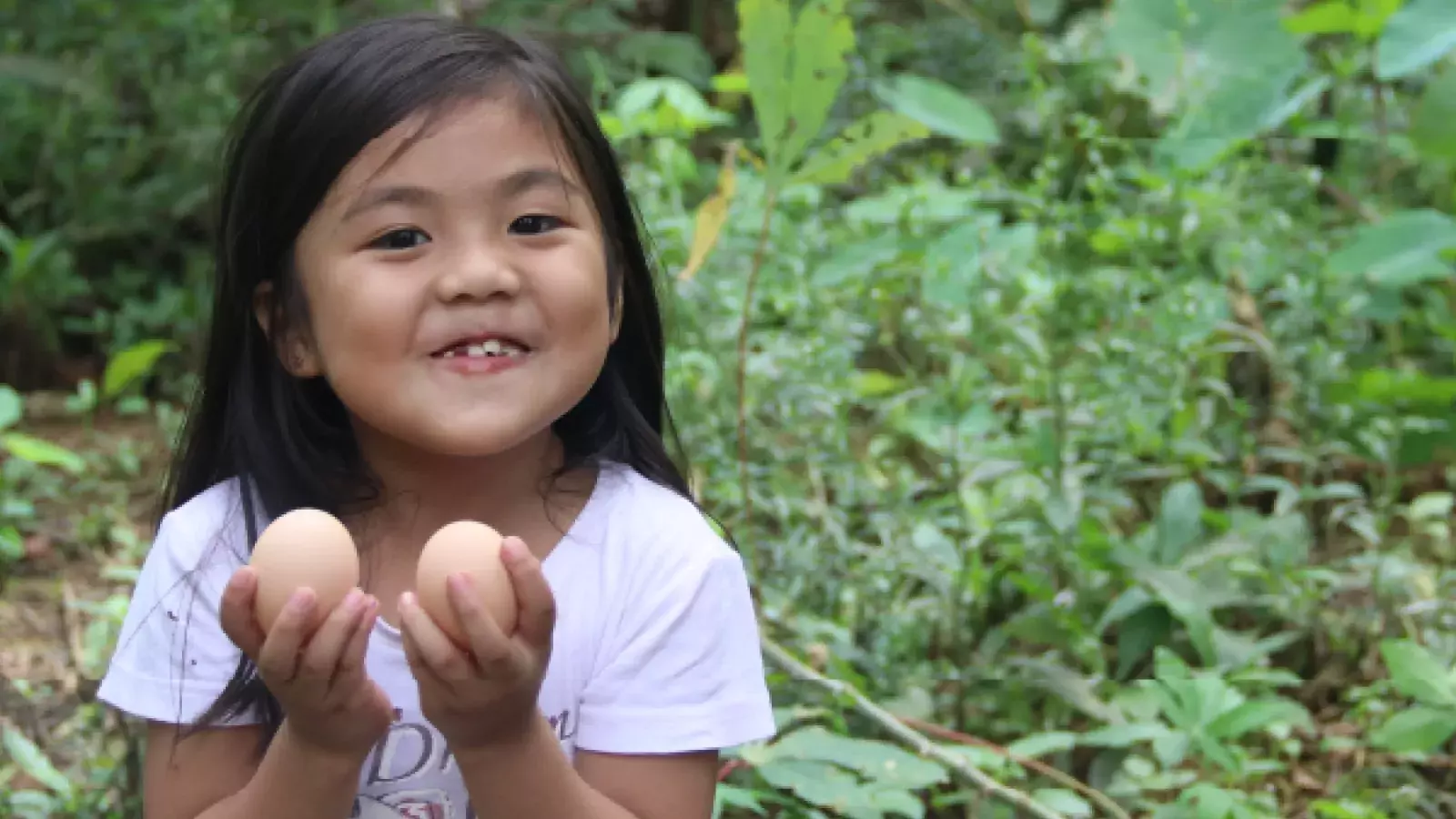 health-and-nutrition-banner