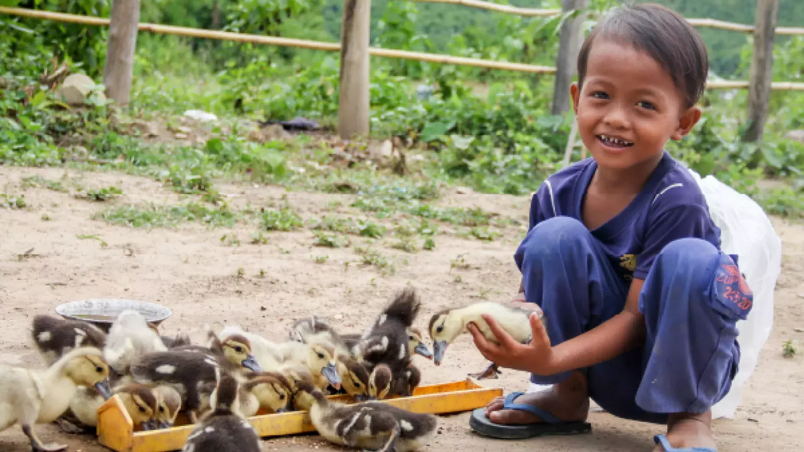 livelihood-and-microfinance-banner
