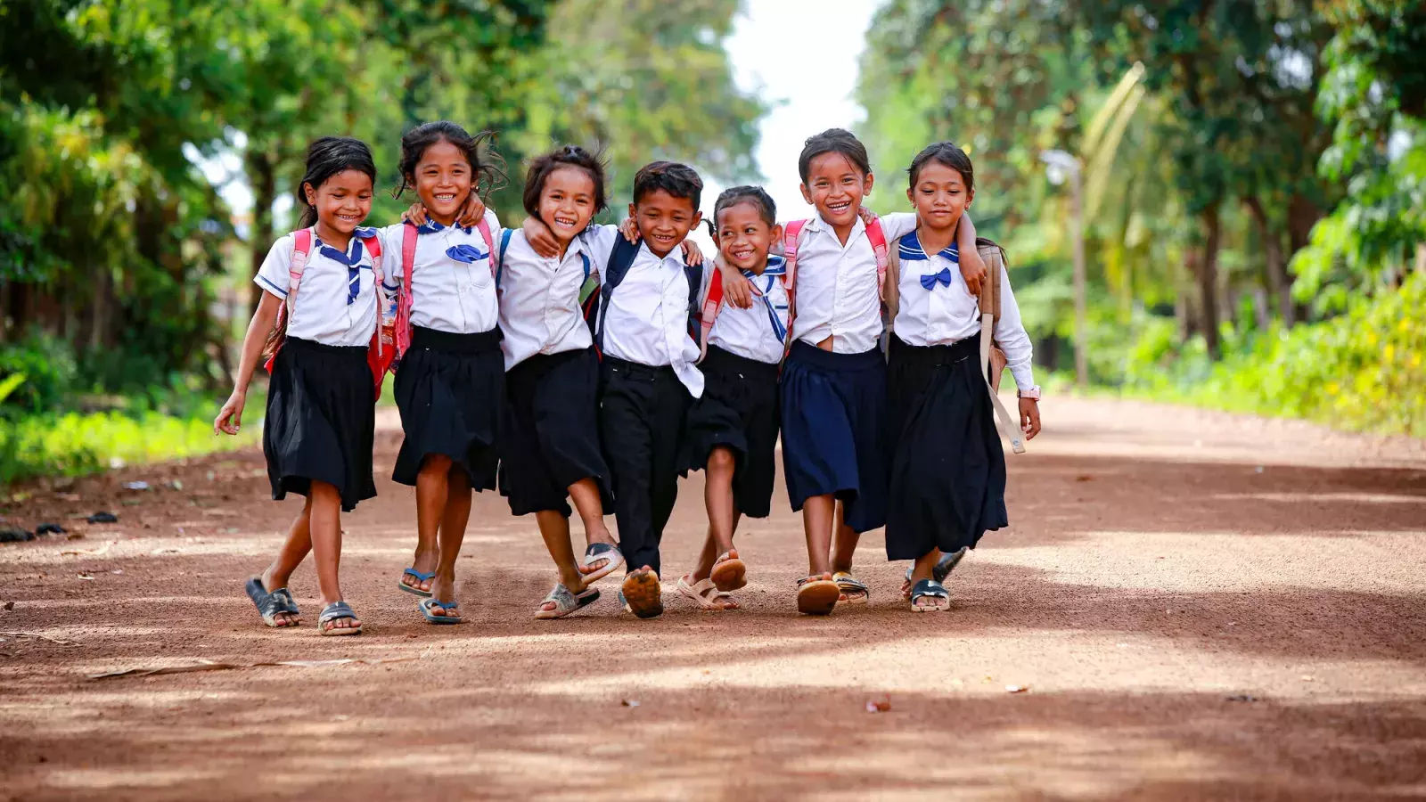 Advisory Council banner