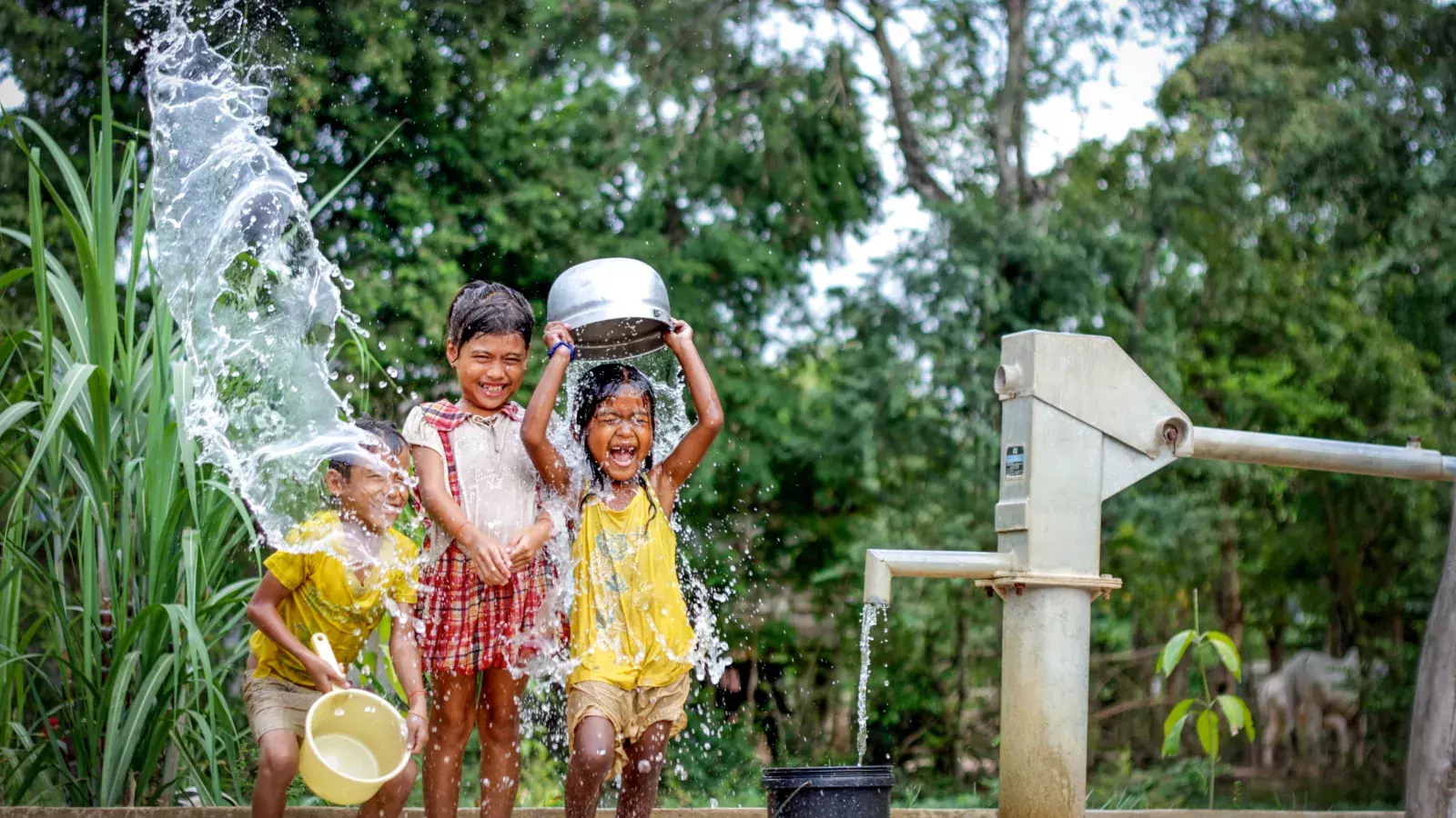 Clean water banner
