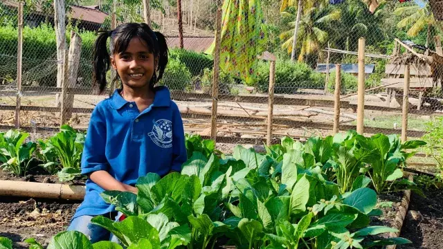 child in a vegetable garden in ende indonesia