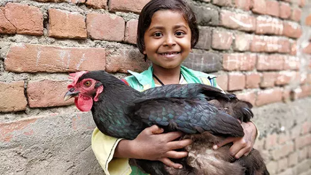 Smiling child holding black chicken by brick wall