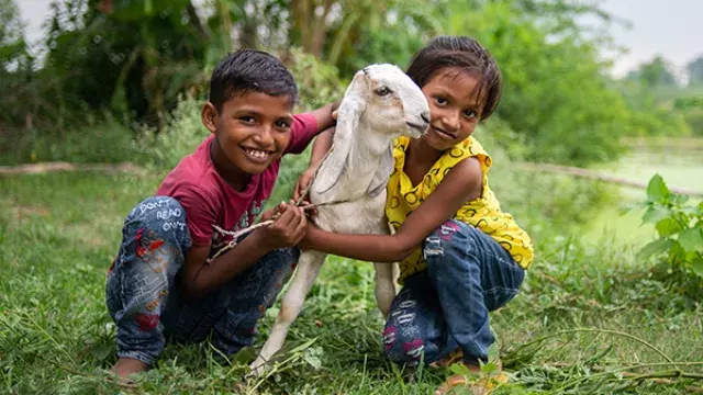 Two children holding goat in grassy rural area