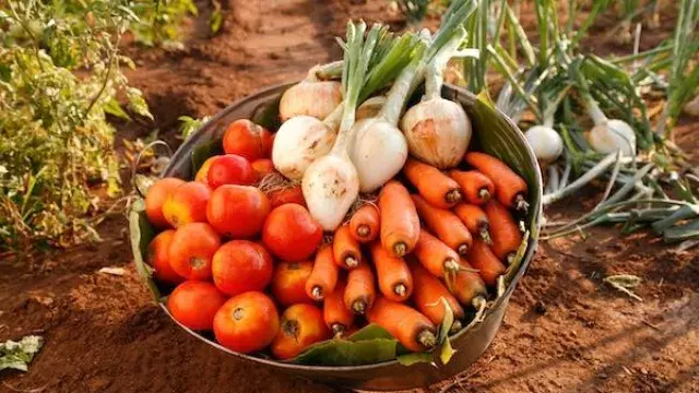 Vegetables & Fruit