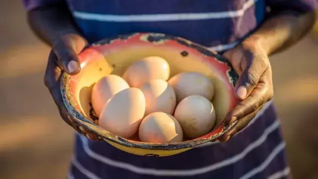 Eggs & Meat